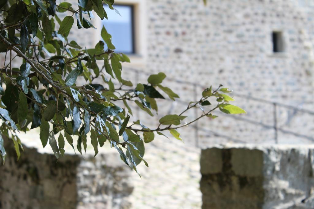 Al Castello Da Annamaria ξενώνας Beverino Εξωτερικό φωτογραφία